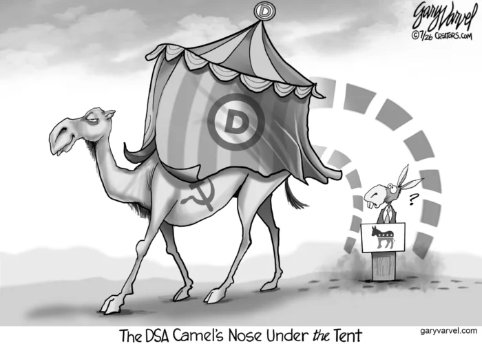 Cartoon commentary